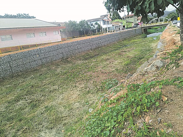 Rio Santa Joana, em Itaguaçu: terra e mato onde antes corria água (Foto: Mário João Sarnaglia)