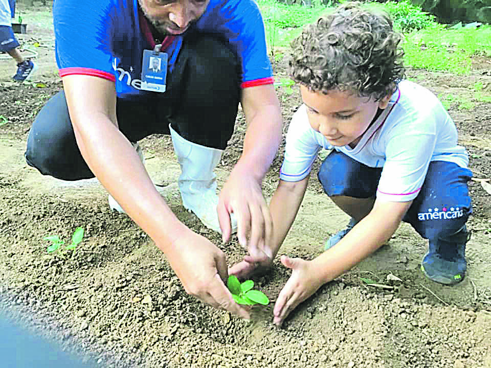 Entre os projetos implementados pela escola estão o cultivo na horta e o reaproveitamento da água da chuva (Foto: Divulgação/Colégio Americano)