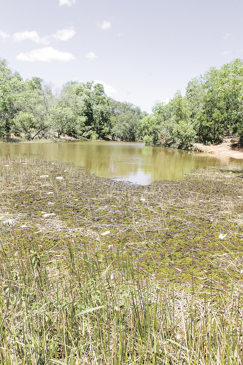 Lagoa do Vigia é utilizada por moradores da região para banhos no verão (Foto: Kadidja Fernandes/ AT)