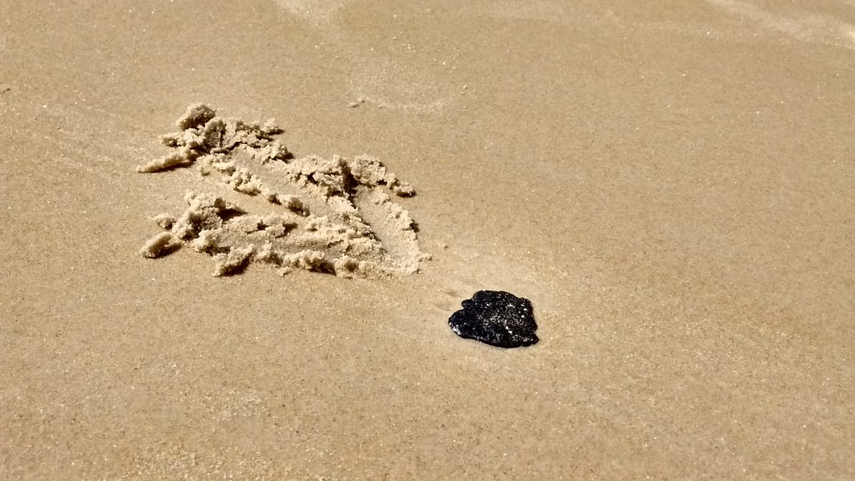 Fragmentos de óleo já começam a aparecer na praia de Olivença, em Ilhéus (BA) (Foto: Reprodução Twitter/Gabriel Thread)