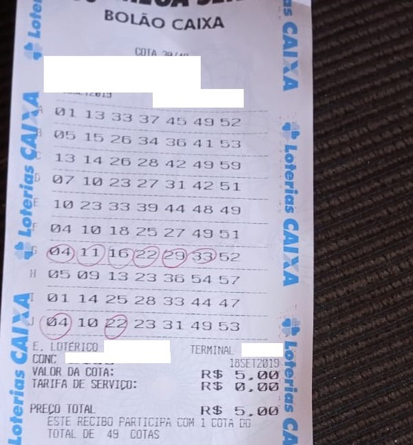 Bilhete continha as dezenas 04, 11, 16, 22, 29 e 33 (Foto: Reprodução/Arquivo Pessoal)