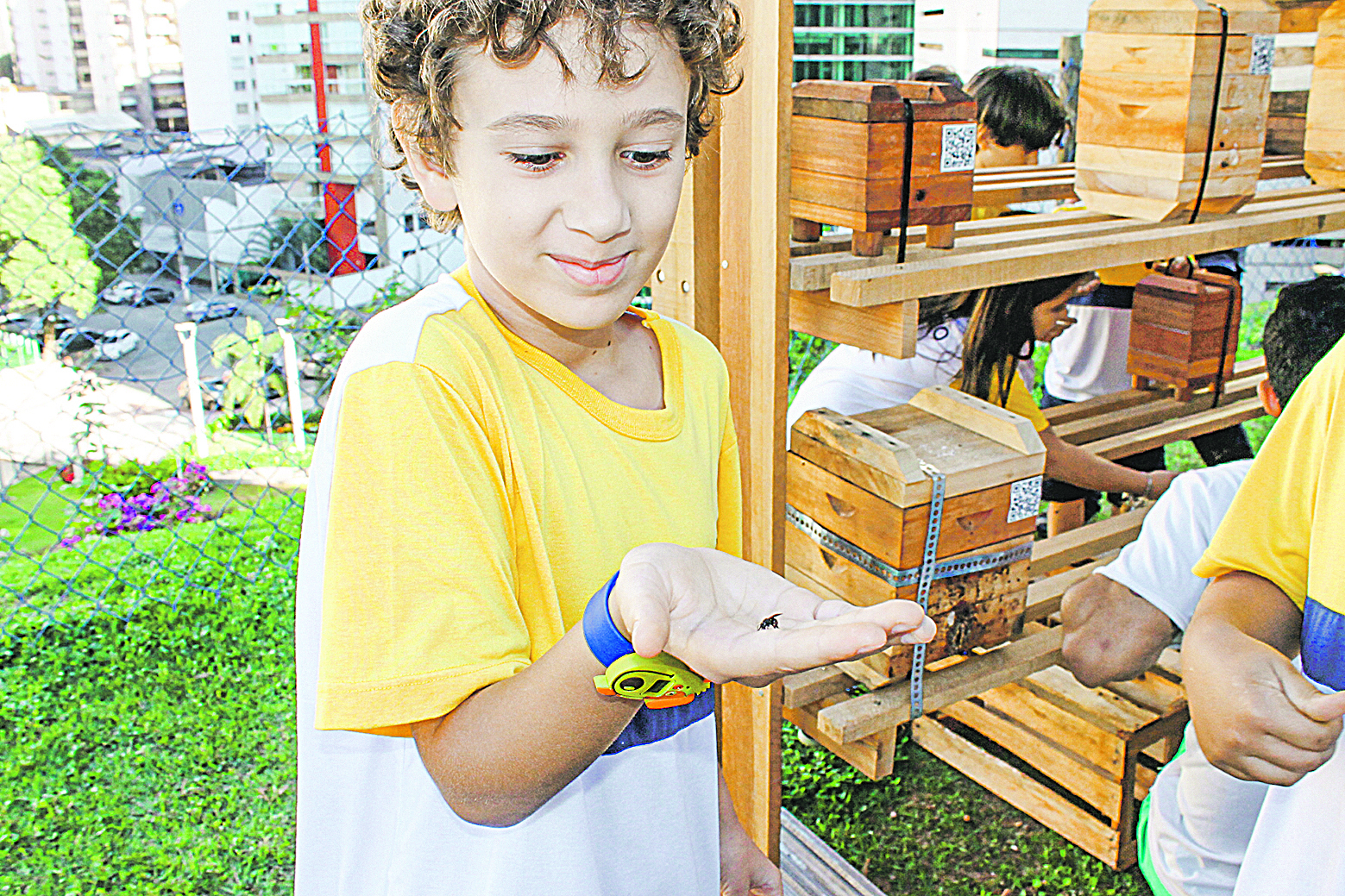 Escola incentiva participação em atividades ligadas ao meio ambiente (Foto: Divulgação/ Escola Monteiro)