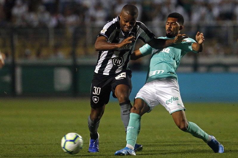 Palmeiras x Botafogo no Estádio do Pacaembu (Foto: Vítor Silva/Botafogo)