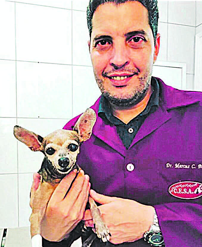 MARCUS CAMPOS BRAUN: saúde (Foto: DIVULGAÇÃO)
