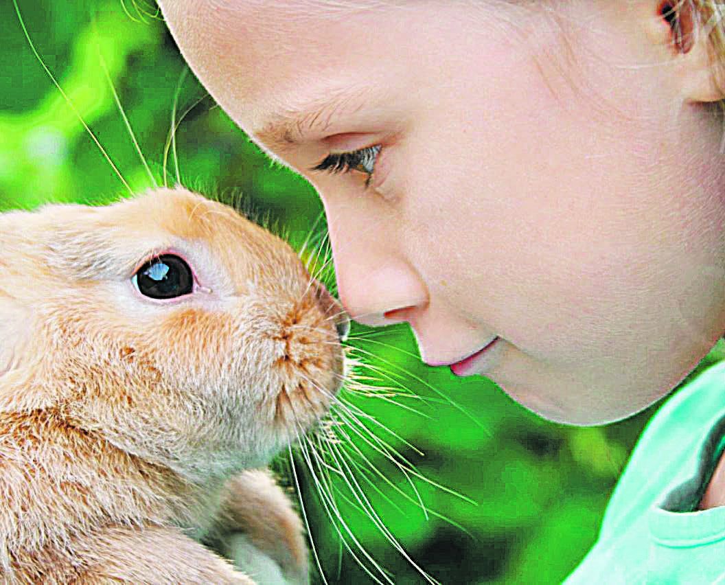 CRIANÇA aprende a amar e respeitar mais quando convive com animal de estimação (Foto: DIVULGAÇÃO)