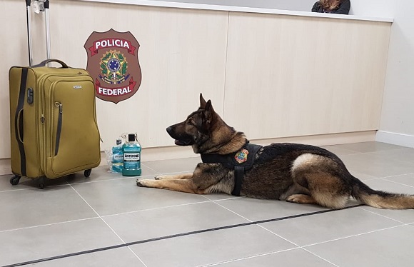 (Foto: Divulgação/PFES)