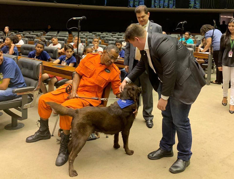 Rigoni participou da ação no plenário da Câmara (Foto: Divulgação / Facebook)