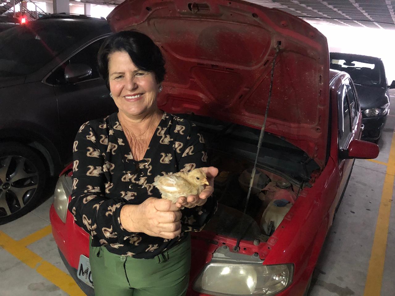 A ex-prefeita passou quatro horas na estrada até chegar a Vitória. (Foto: Maria Albertina)