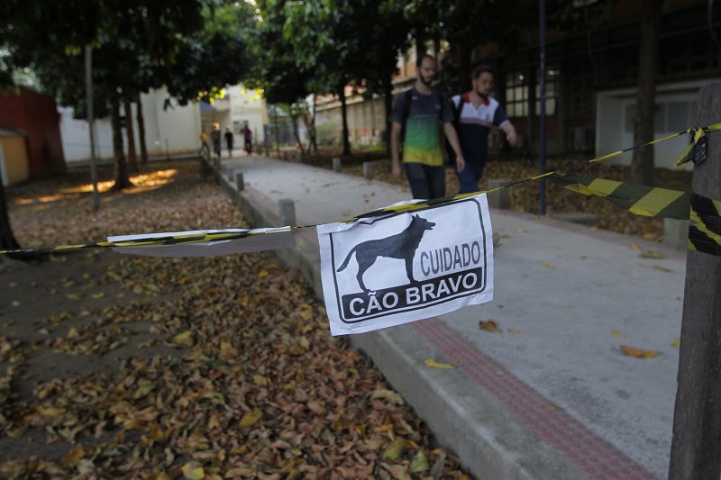 Estudantes alertam para a presença de cães no campus (Foto: Leone Iglesias/ AT/ 05/11/19)