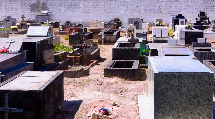 (Foto: Divulgação/PMVV)