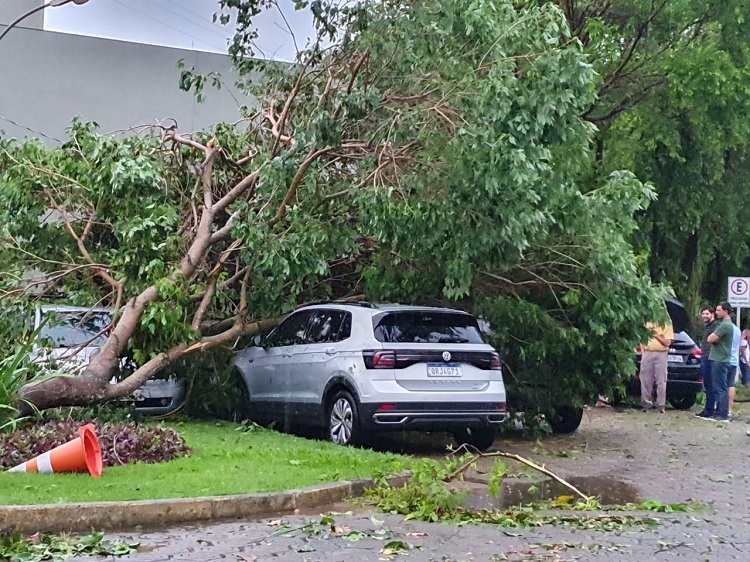Estragos causados por temporal em Alegre no dia 11 (Foto: Reprodução/Redes Sociais)