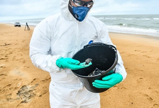 Coleta de óleo em Linhares (Foto: Divulgação/Felipe Tozatto)