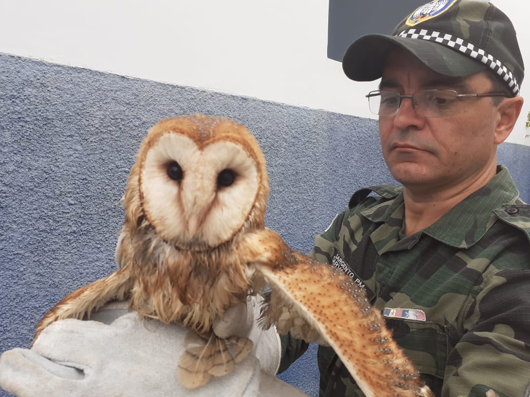 (Foto: Divulgação/PMES)