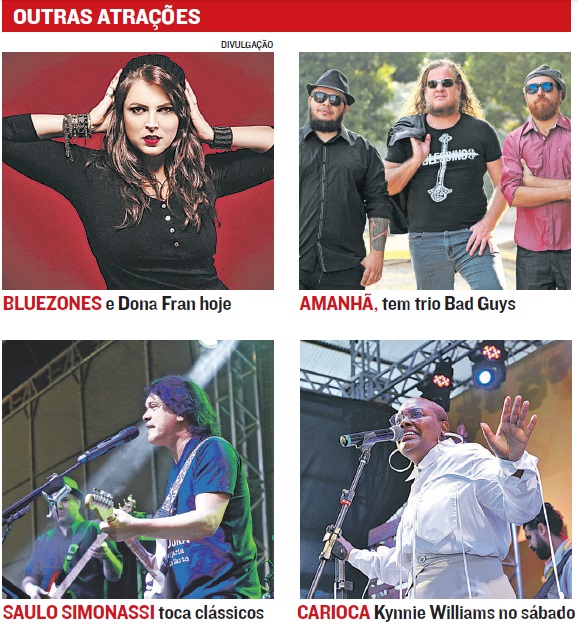 Festival Beer e Blues 2019 (Foto: Jornal A Tribuna)