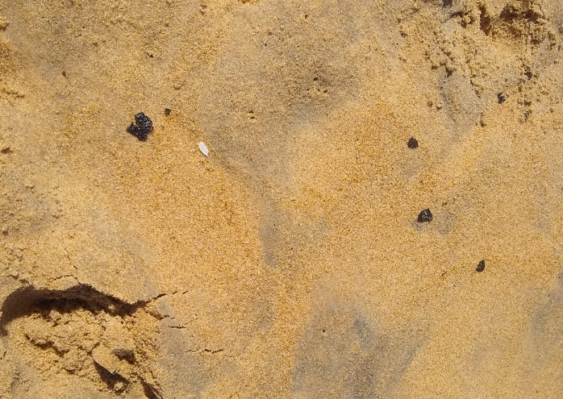 (Fragmentos de óleo nas areias de Guriri - Foto: Mario Ferrari)
