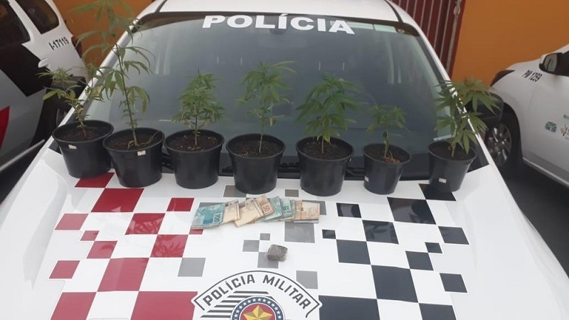(Foto: Divulgação/Polícia Militar de São Paulo)