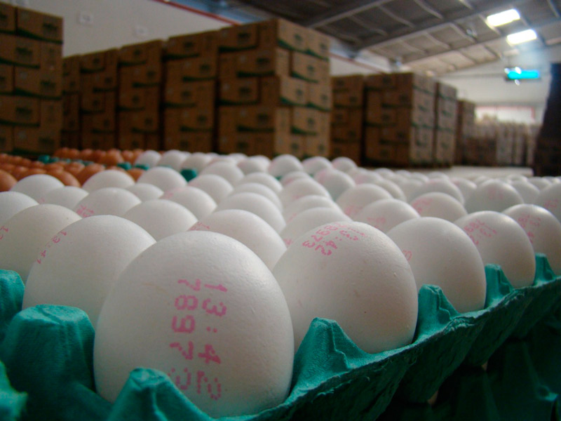 Caixa de ovos em setor de distribuição (Foto: Arquivo A Tribuna)