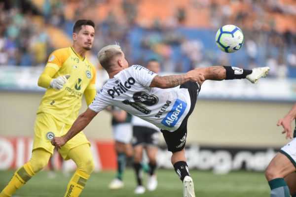 (Foto: Ivan Storti/Santos FC)
