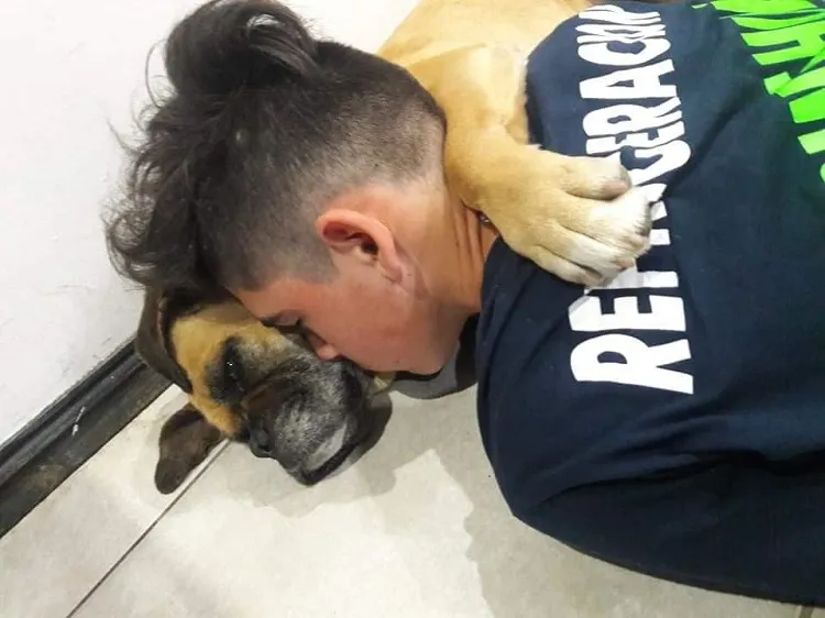 Imagem ilustrativa da imagem Cadela morre abraçada ao dono após infarto causado por fogos de artifício