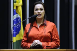 Imagem ilustrativa da imagem Bandidos usam número de Lauriete para pedir dinheiro