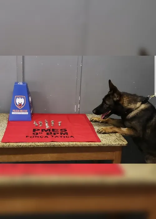Imagem ilustrativa da imagem Cão Messi encontra drogas enterradas em terreno