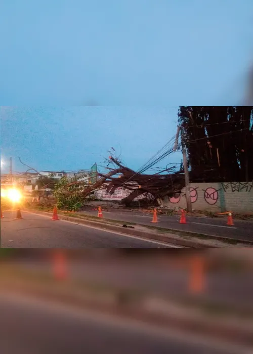 Imagem ilustrativa da imagem Queda de árvore interdita o trânsito na Rodovia Norte Sul, na Serra
