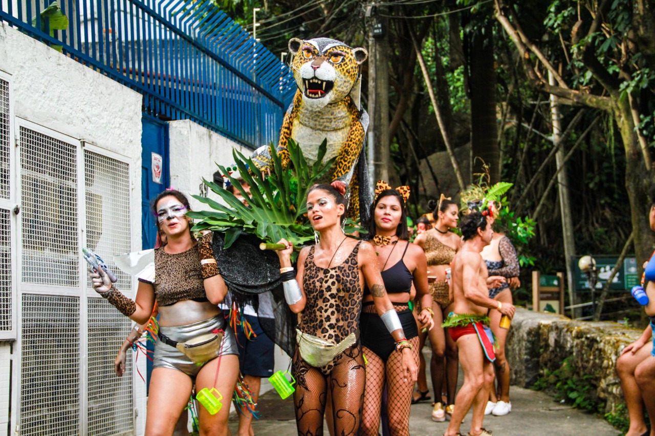 Blocos Amigos da Onça (Foto: Divulgação)