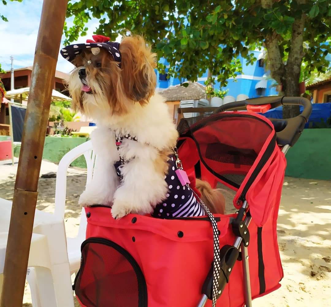 Laika está aproveitando a lua de mel das mães em Iriri (Foto: Acervo familiar)