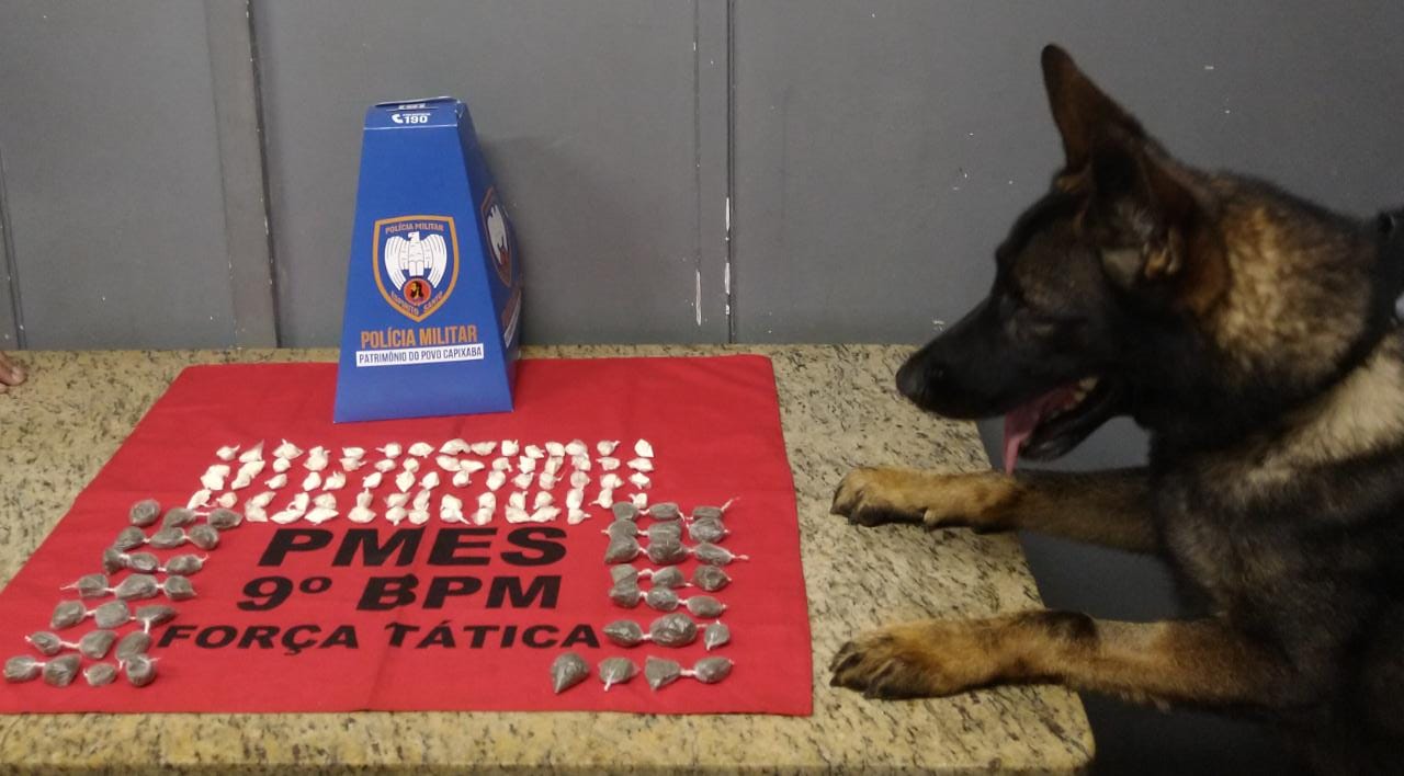 Cão Messi ajudou a localizar drogas (Foto: Divulgação PM)