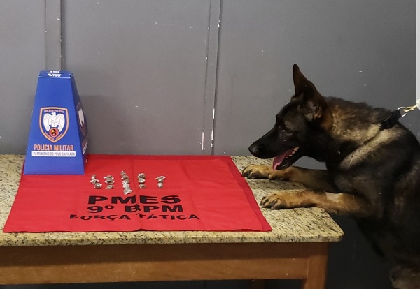 Cão Messi ao lado das drogas apreendidas (Foto: Divulgação/ Polícia Militar)