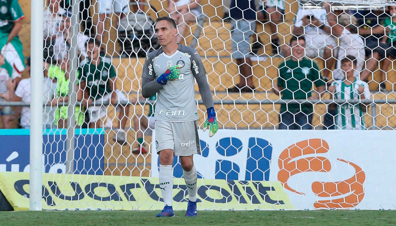 Fernando Prass, no gol do Palmeiras (Foto: Reprodução / Twitter)