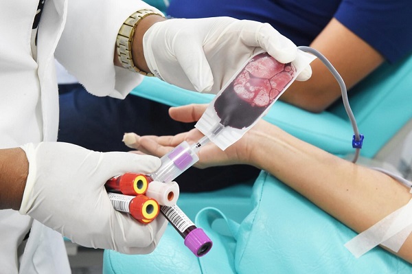 Doação de sangue (Foto: Divulgação Sesa)