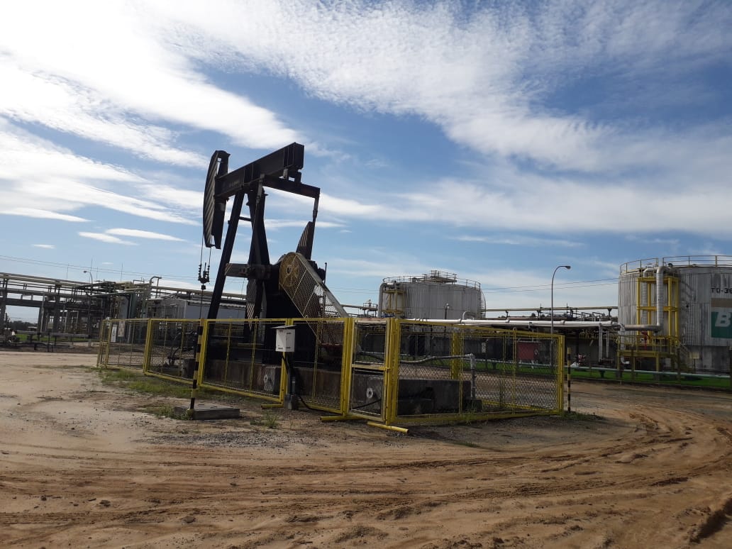 (Fazenda de petróleo no Norte do Estado. Foto: Verônica Aguiar)