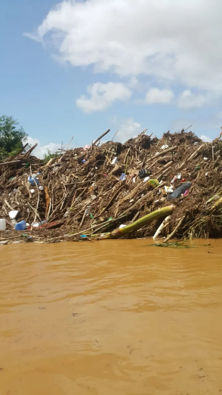 Imagem ilustrativa da imagem FOTOS | Advogado percorre rio entre Iconha e Piúma e registra destruição