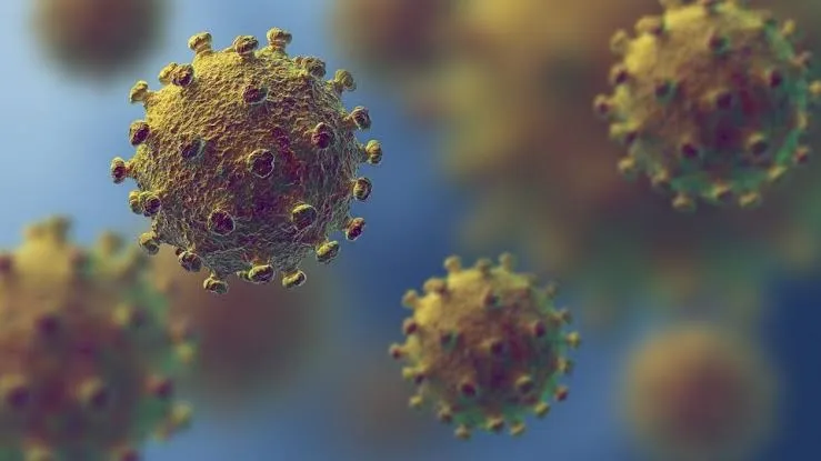 Imagem ilustrativa da imagem Infectado pelo coronavírus pode não ter sintoma, aponta estudo