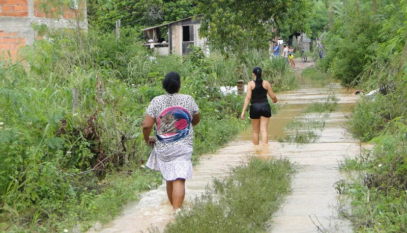 Imagem ilustrativa da imagem Rio Doce ultrapassa cota de inundação em Linhares