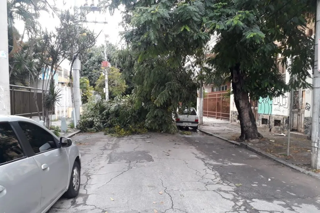 Imagem ilustrativa da imagem Temporal provoca alagamentos e queda de árvores no Rio de Janeiro