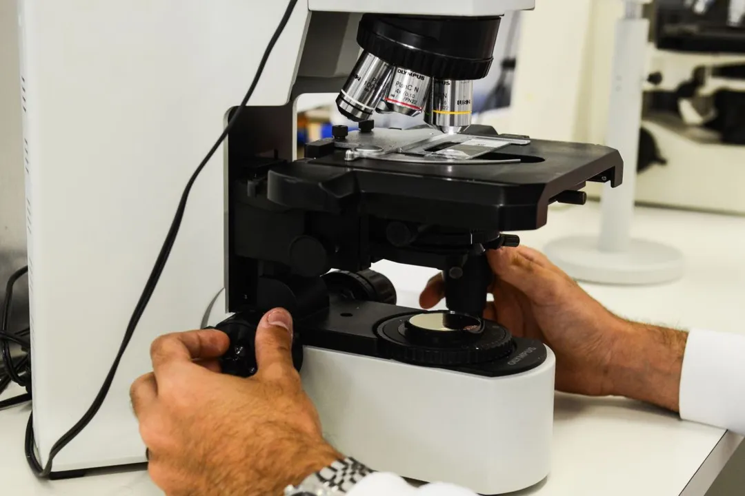 Imagem ilustrativa da imagem Novo coronavírus permanece no corpo por cerca de 21 dias nos casos graves, diz estudo