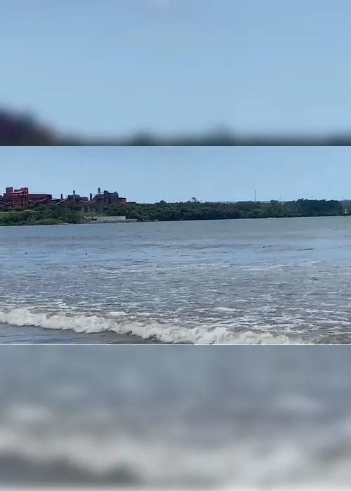 Imagem ilustrativa da imagem Arraias encantam banhistas na Praia de Camburi