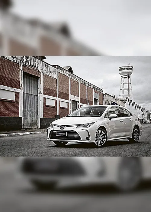 
          Imagem ilustrativa da imagem Campeões de venda no Estado
          