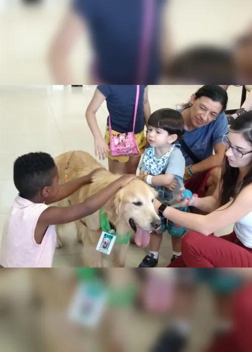 Imagem ilustrativa da imagem Crianças escrevem 80 cartas para cão terapeuta com câncer retornar ao hospital