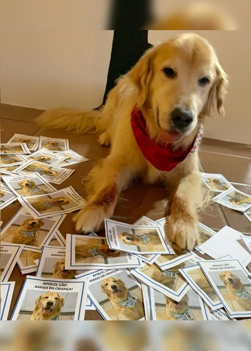 Imagem ilustrativa da imagem Crianças escrevem 80 cartas para cão terapeuta com câncer retornar ao hospital