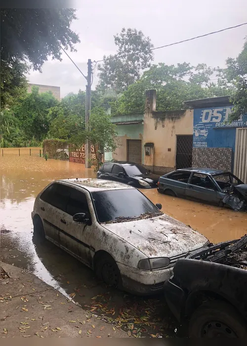 Imagem ilustrativa da imagem Rio Doce já deixa bairros alagados em Colatina e deve ultrapassar 7 metros