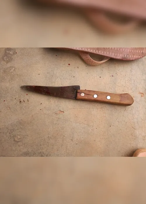 Imagem ilustrativa da imagem Criança de 8 anos testemunha morte da mãe em Santa Maria de Jetibá