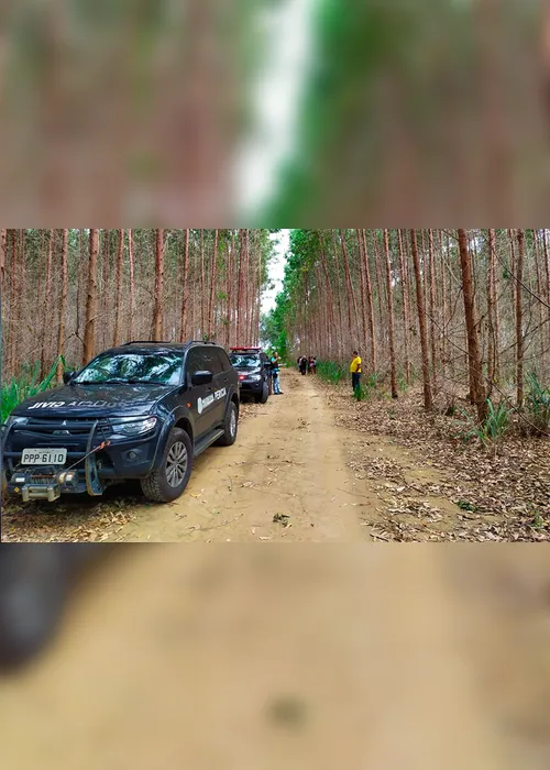 Imagem ilustrativa da imagem Corpo de motoboy é encontrado em plantação de eucalipto na Serra