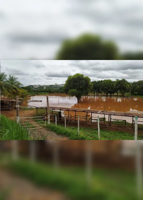 Imagem ilustrativa da imagem Rio Doce já deixa bairros alagados em Colatina e deve ultrapassar 7 metros
