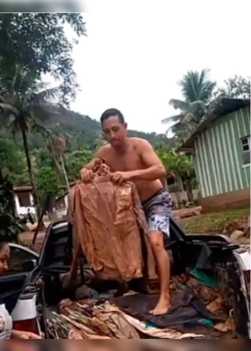Imagem ilustrativa da imagem VÍDEO | Famílias vão para rio lavar roupas sujas de lama