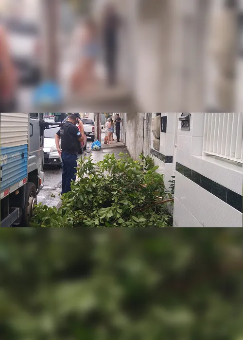 Imagem ilustrativa da imagem Vizinho é ferido em briga por causa de árvore