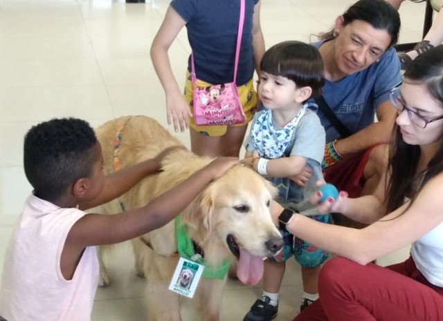 Apollo foi recebido no hospital com muito carinho (Foto: Divulgação/ Hospital Universitário de Jundiaí)