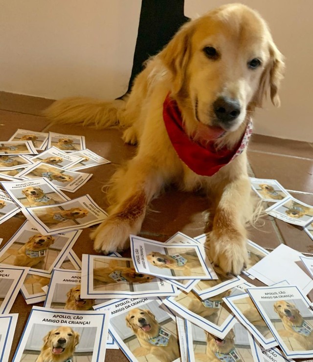 Apollo com as cartas escritas por pacientes (Foto: Tatiane Keller)